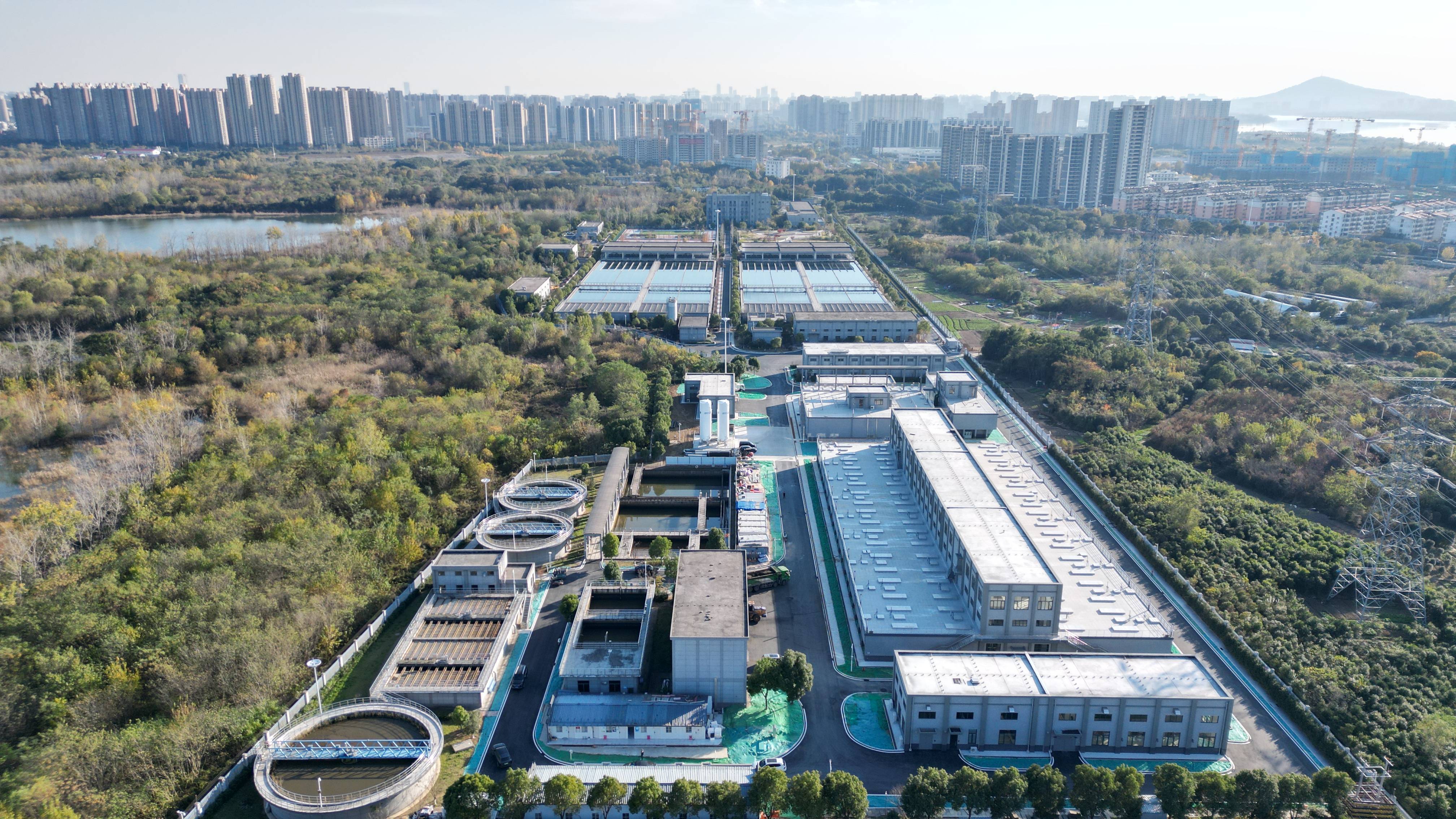 攀枝花市合肥专业企业价值增长(合肥市重点企业产业目录)