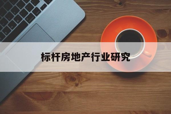 攀枝花市标杆房地产行业研究(房地产领域的标杆人物)