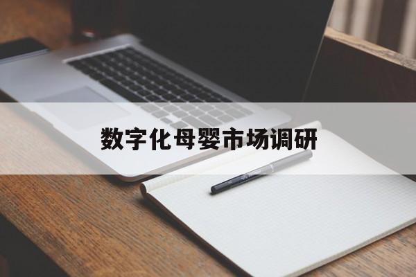 攀枝花市数字化母婴市场调研(数字化母婴市场调研报告)